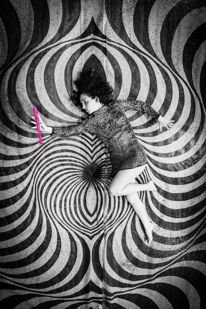 zauberfloete flensburg plakat